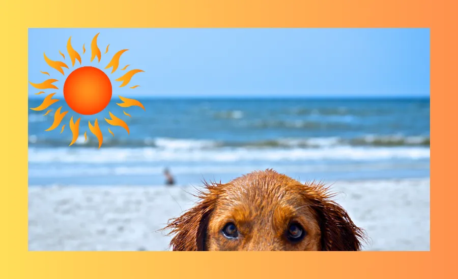 WHAT WORLD ARE YOU LIVING IN?